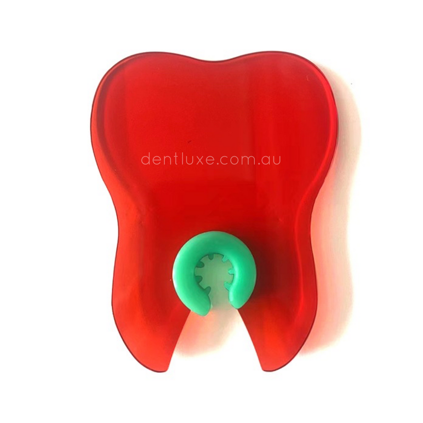 Curing Light Tooth Shield