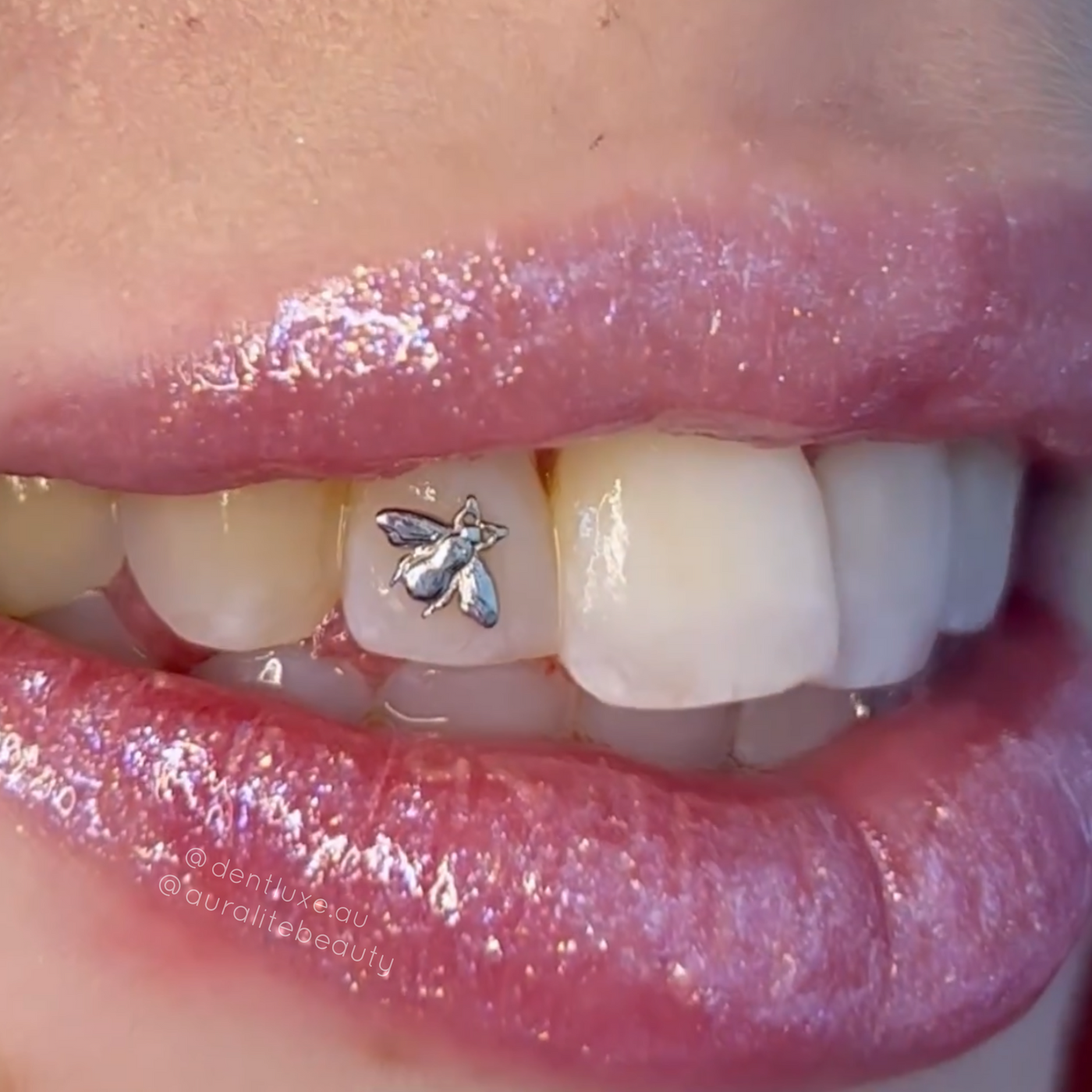 Gucci tooth gem Clearance