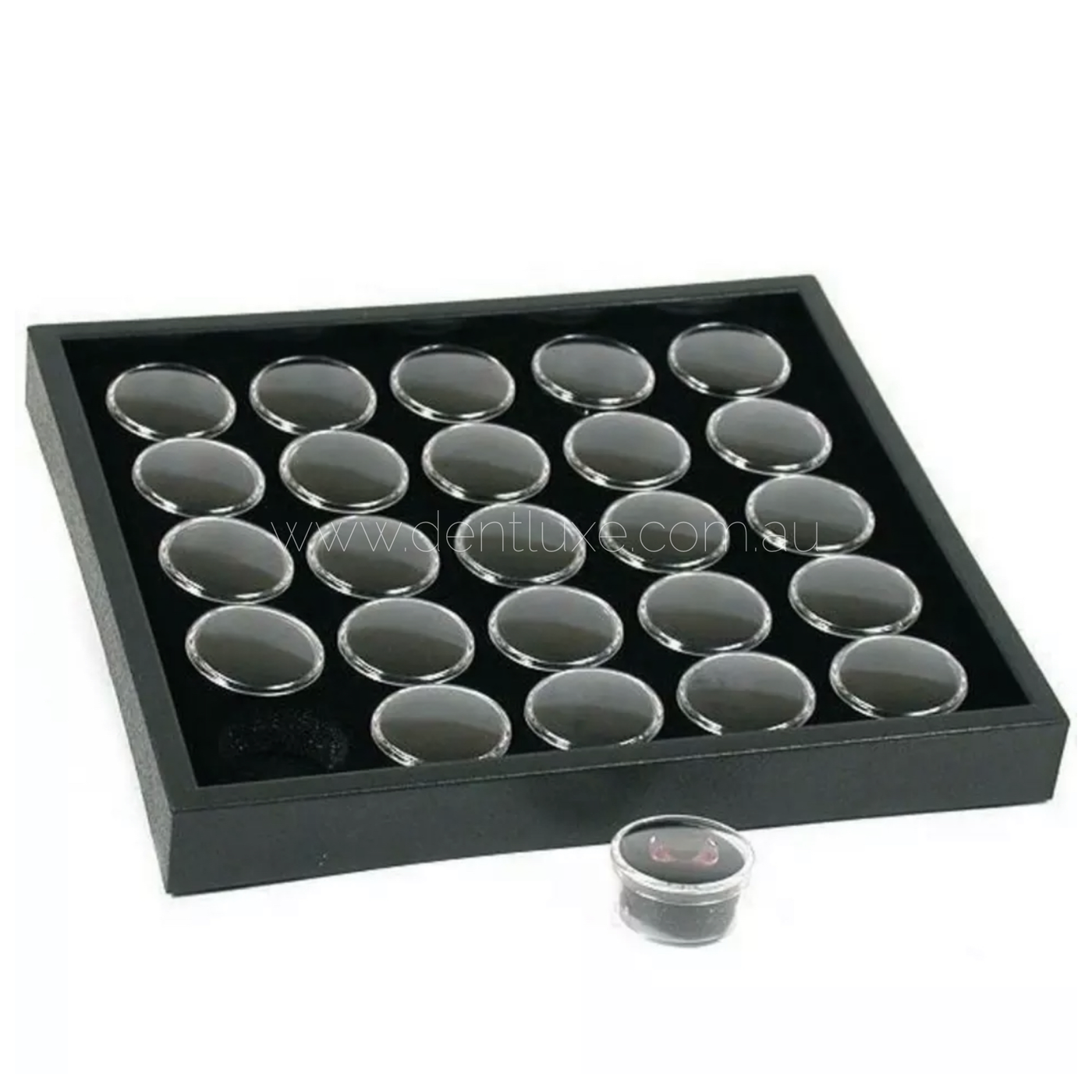 Tooth Gem Display Tray Case - Dentluxe