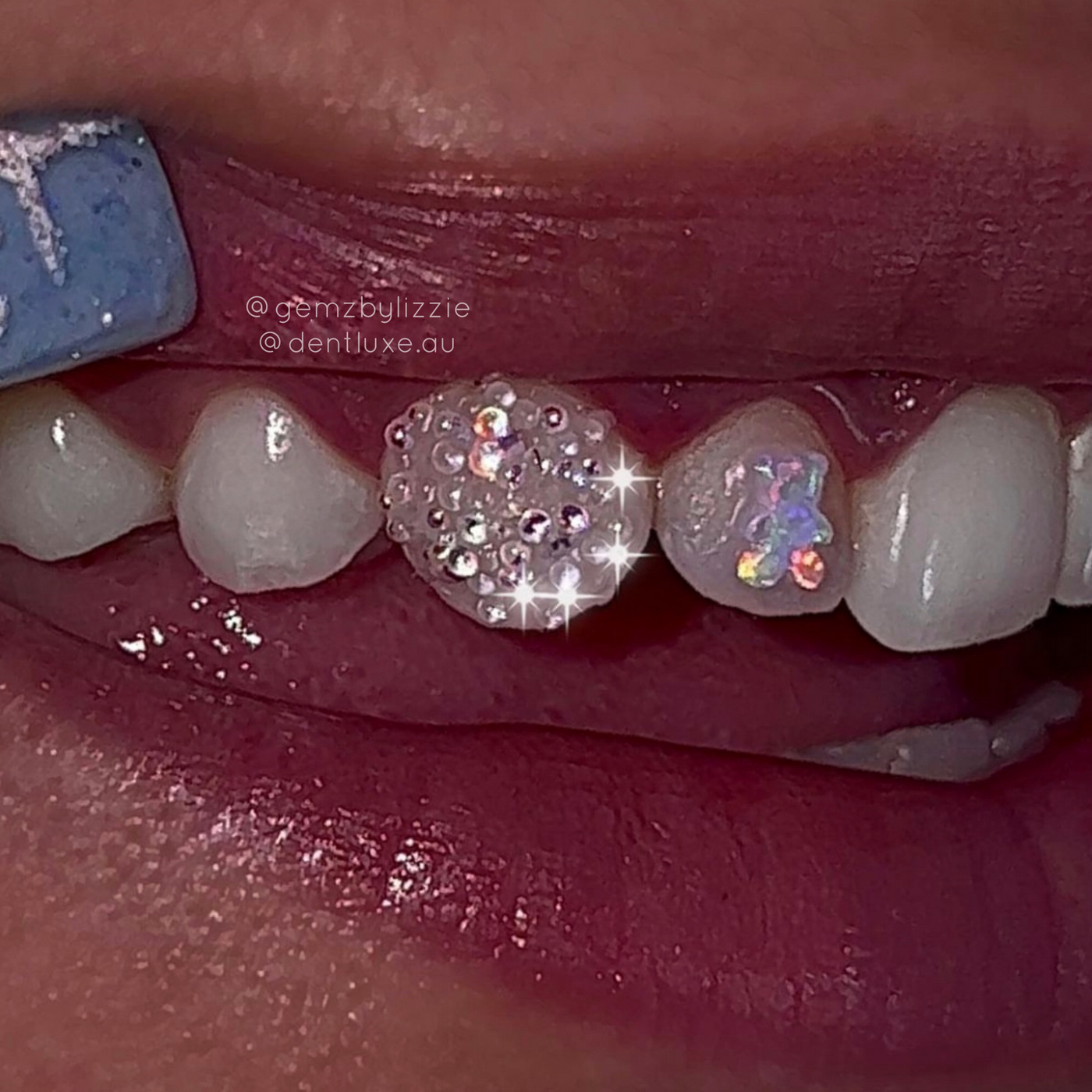 Bear Opal Tooth Gems
